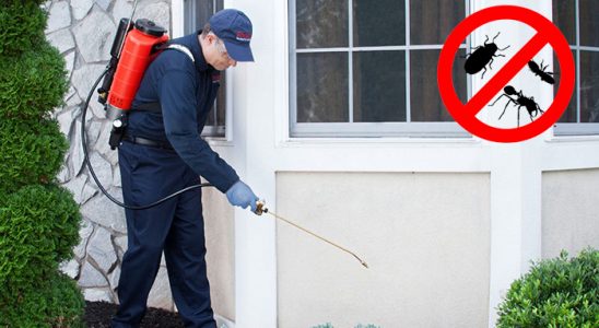 Payamlı Kene İlaçlama böcek ilaçlama ve haşere kontrolü — ilaclama-tr.com